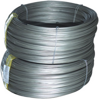 //rjrorwxhpq티타�ldycdn.com/cloud/ljbppkqplnsrrlornlkqjp/titanium-wire.png